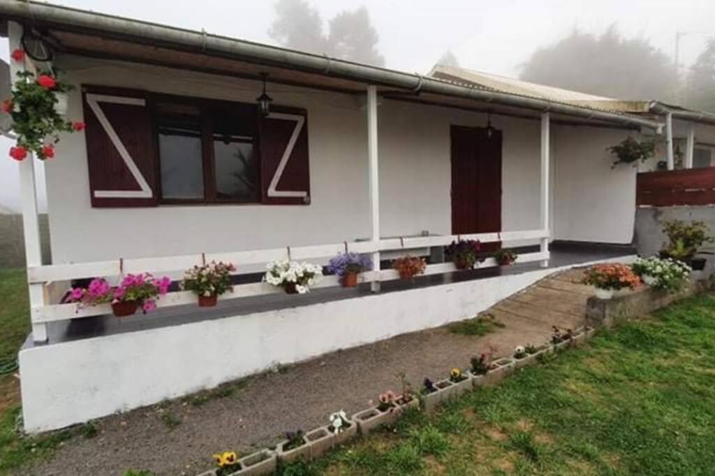 Ti kaz la plaine La Plaine des Cafres Zewnętrze zdjęcie